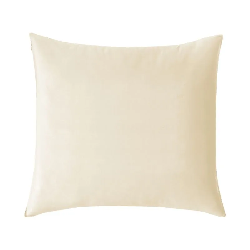 Classic velvet pillow cover