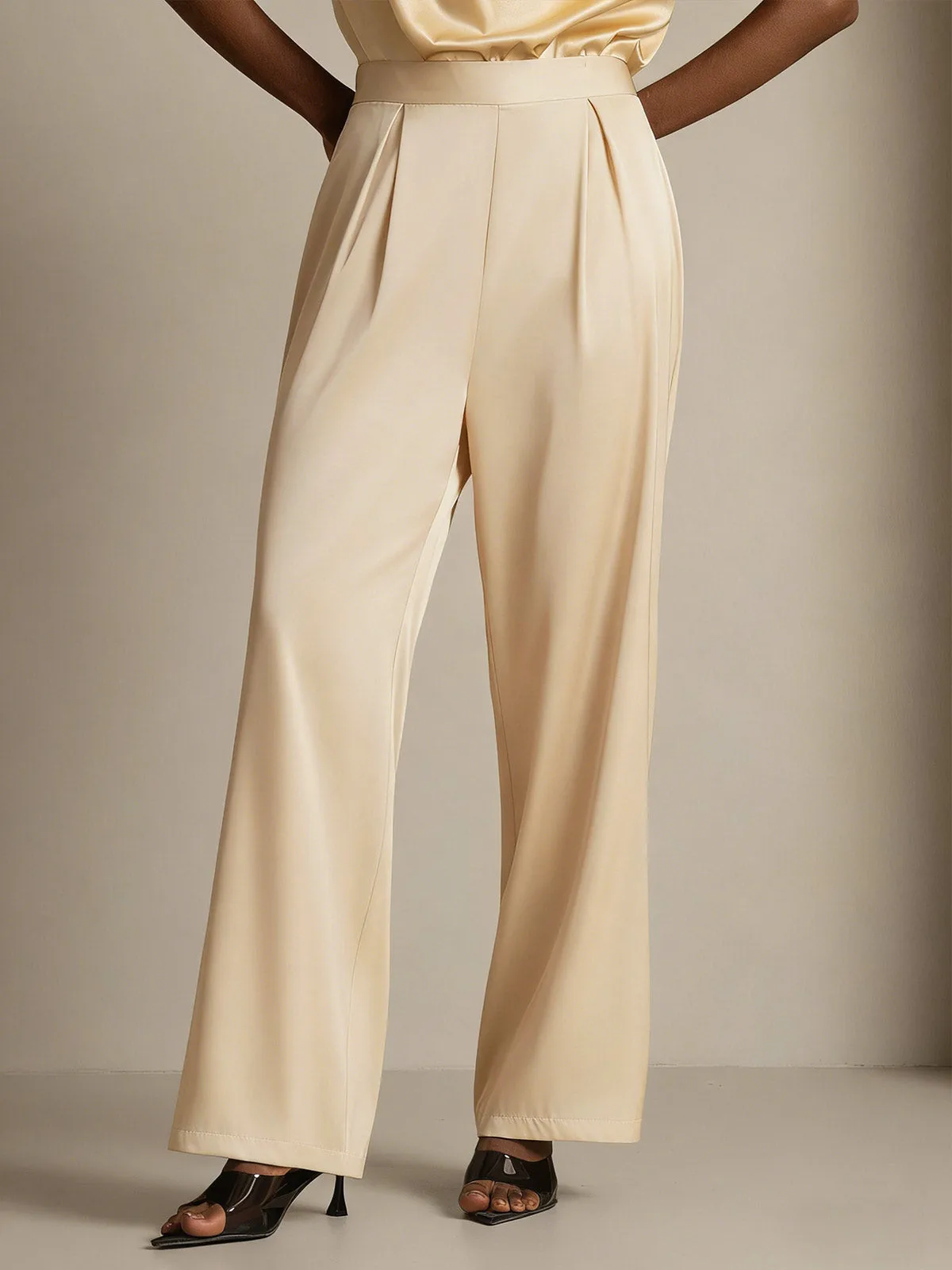 19Momme Silk High Waist Wide Leg Pleated Women's Pants — image 4