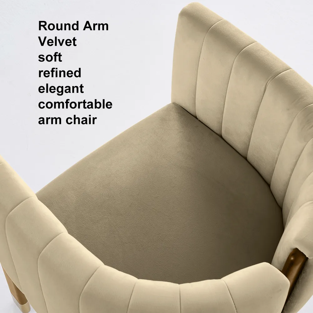 Modern Wood Accent Chair Beige Velvet Upholstered Arm Chair — image 29