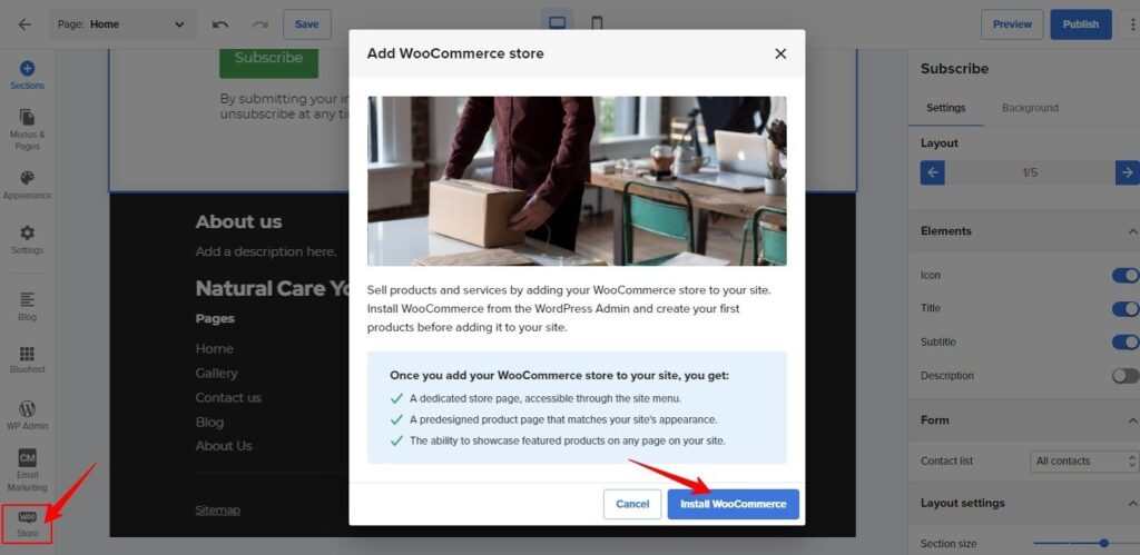 Bluehost Website Builder store