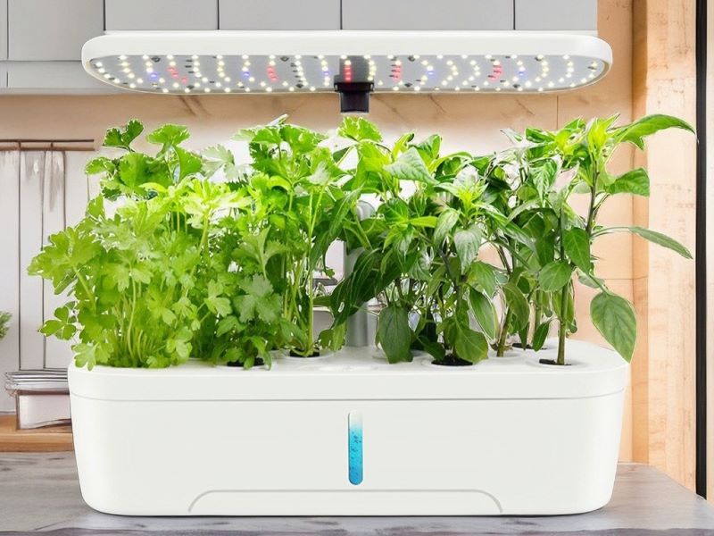 Indoor Hydroponic