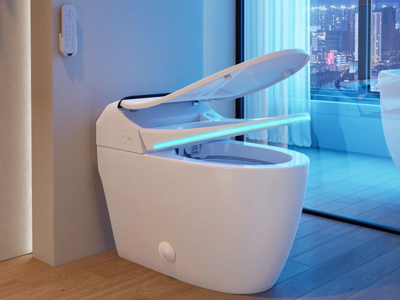 smart toliet