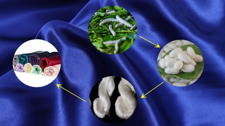 How Mulberry Silk is Made: From Silkworm to Luxurious Fabric